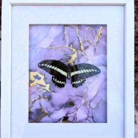 Black Cat Taxidermy item