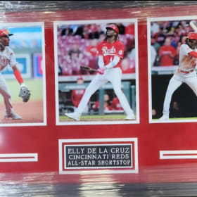 64. Elly de la Cruz Framed Piece item