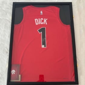 Authentic, signed Grady Dick Raptors jersey item