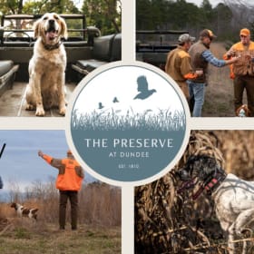 Half-Day Hunt at Preserve at Dundee item
