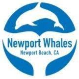 Newport Whales item