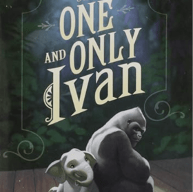 July 22 - Week 5 item