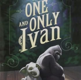 July 29 - Week 6 item