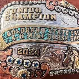 Grand Champion Senior-Miniature Horse item