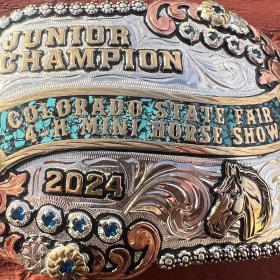 Reserve Grand Champion Intermediate- Miniature Horse item