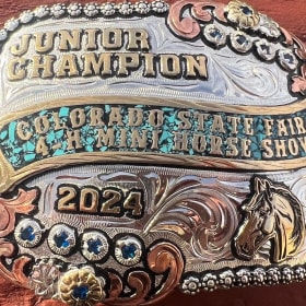 Grand Champion Junior-Miniature Horse item