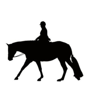 Advanced 8-13 English Reserve Champion item