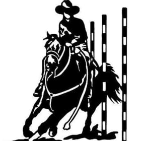 Advanced 8-13 Gymkhana Reserve Champion item