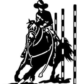 Advanced 14-18 Gymkhana Reserve Champion item