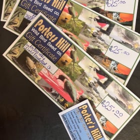 G18 - Handcrafted Bird Feeder & Gift Certificates item