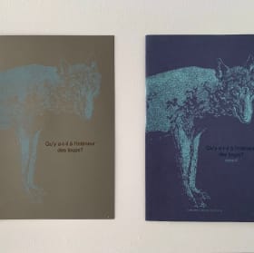 Qu'y a-t-il à l'intérieur des loups? Tome I ou II item