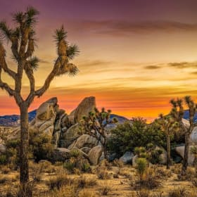 2 Nights in Palm Springs item