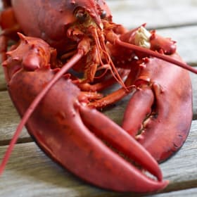 Maine Vacation:  Week in August item