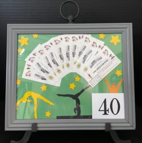 40. Imagymnation item