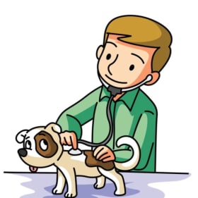 Ash Creek Animal Clinic $60 gift Certificate item