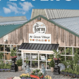 Bloom & Grow – $50 at to The Farm at Green Village (2/2) item