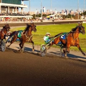 A VIP Night at the Races – Meadowlands Racing Experience item