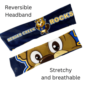 Reversible Headband item