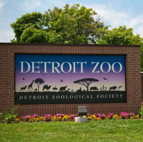Detroit Zoo Day - July 23 item