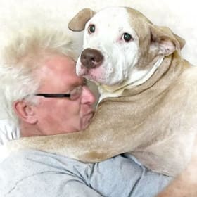 Custom Handmade Digital Pet Portrait – 8x10" (Unframed) item