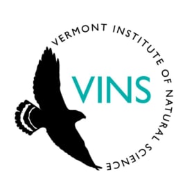 VINS 2 day passes item