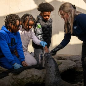 New England Aquarium Animal Encounter for 4 item