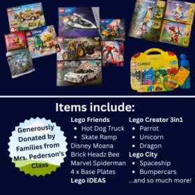 LEGO BIN - Bin Included! (Value ~$400) item