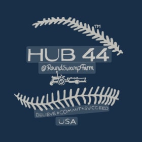 Hub 44 item