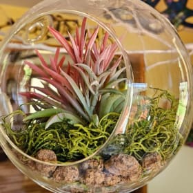 Decorative Hanging Globe item