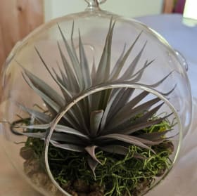 Decorative Hanging Globe item