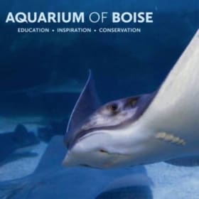 [51] Aquarium of Boise passes item