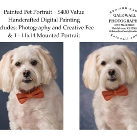 Gale Wall Photography - Painted Pet Portrait #1 item