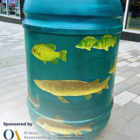 Fish of the Kaministiquia River by Riley Goshgarian item