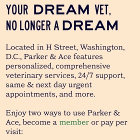 Parker and Ace Veterinary $100 gift certificate & swag bag item