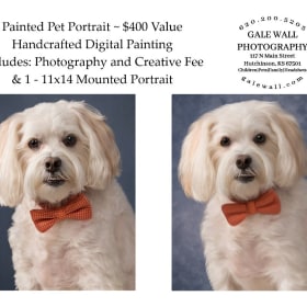 Gale Wall Photography - Painted Pet Portrait #2 item