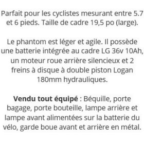Vélo Électrique (Valeur de 1 900$) item