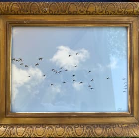 Alexis Greene Framed Photography item