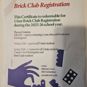 Lego and Brick Club package item