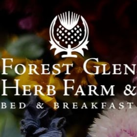 G8 - Custom Herb Planter and Wreath Gift Certificates item