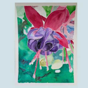 Fuschia Blossom, 11x17 item