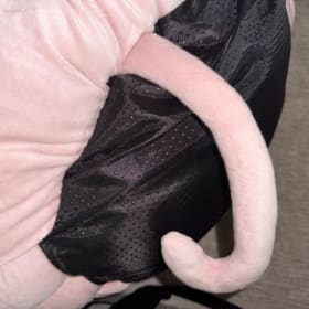 Cute Cat Ear Pet Bed item