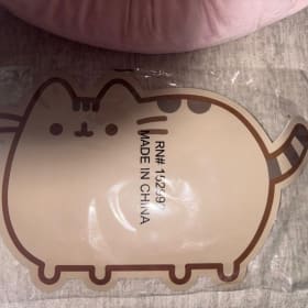 Pusheen Iconic Cat Bowl Placemat - Brown item