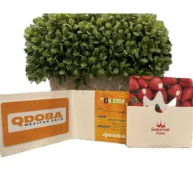 $25 Qdoba and $25 Smoothie King gift certificate item