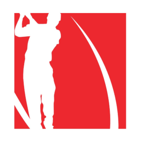 Brand New Callaway Elyte Irons with Steel Stiff Flex Shafts. item