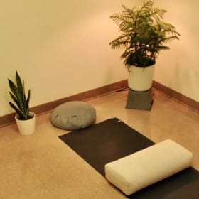 Virtual one-on-one yoga therapy session item
