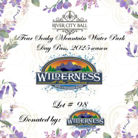 Lot 98 - Four Soaky Mountain Water Park Day Passes item