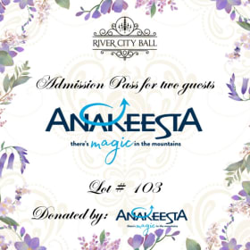 Lot 103 - Admission passes for two guests item