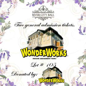 Lot 105 - Two general admission tickets, good until May 2026 item