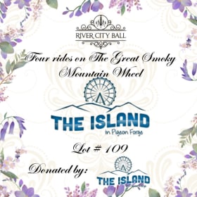 Lot 109 - Four rides on The Great Smoky Mountain Wheel item