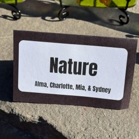 Nature: Alma, Charlotte, Mia, & Sydney mosaic coasters item